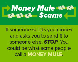 Money Mule Scams thumbnail